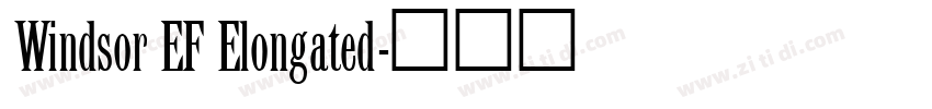 Windsor EF Elongated字体转换